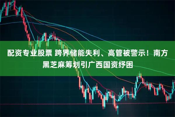 配资专业股票 跨界储能失利、高管被警示！南方黑芝麻筹划引广西国资纾困
