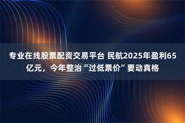 专业在线股票配资交易平台 民航2025年盈利65亿元，今年整治“过低票价”要动真格